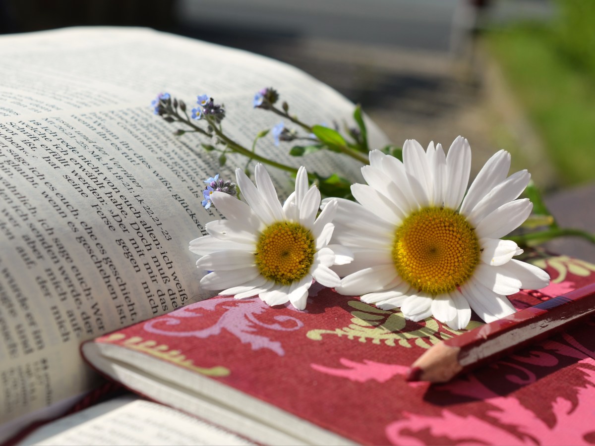 Verbum Dei Solum: When the Spirit whispers to you, “This is wrong…”